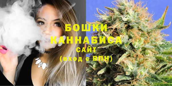 МДПВ Каменка