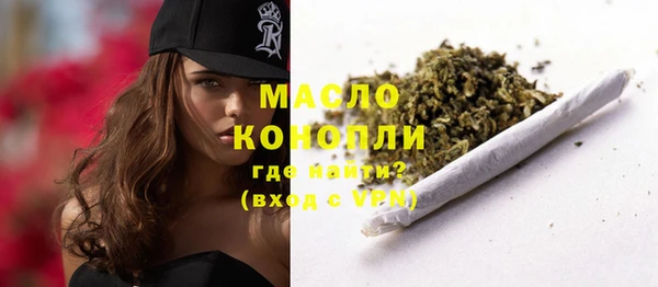 МДПВ Каменка