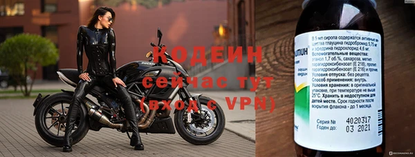 МДПВ Каменка