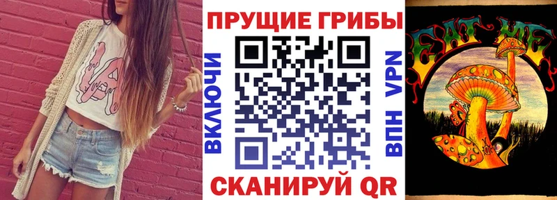 Купить  Дагестанские Огни  Псилоцибиновые грибы прущие грибы 